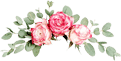 Floricultura em Cuiabá e Várzea Grande