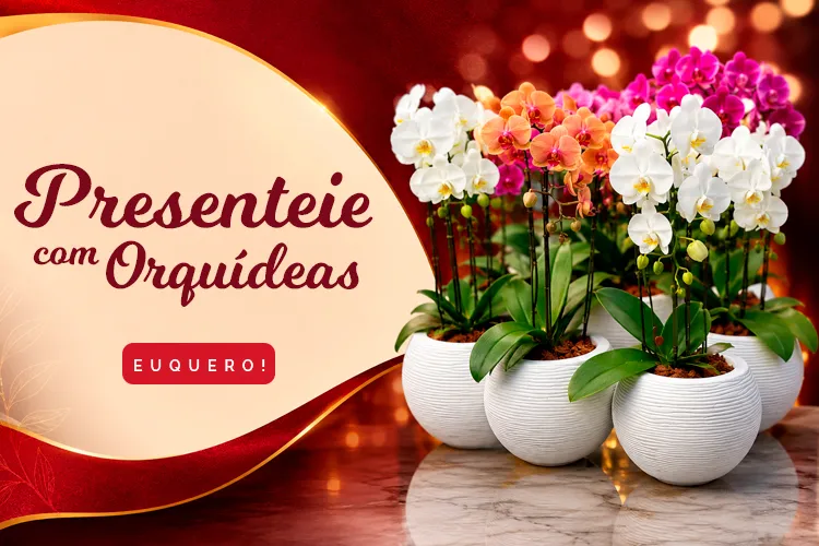 Floricultura em Cuiabá e Várzea Grande