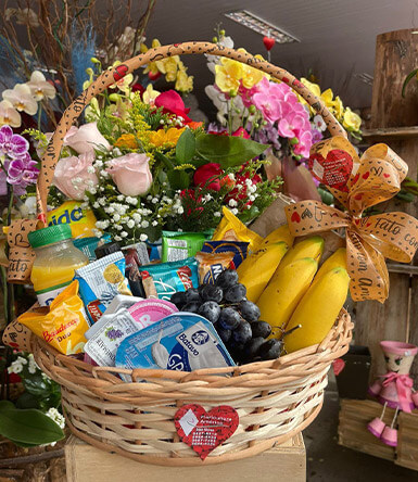 Floricultura America Landing