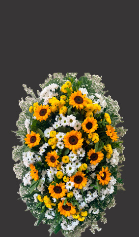 Floricultura em Cuiabá e Várzea Grande