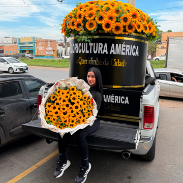 Floricultura em Cuiabá e Várzea Grande