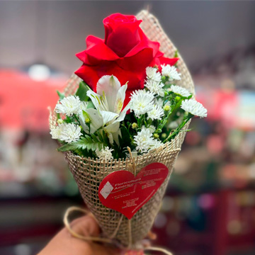 Floricultura em Cuiabá e Várzea Grande
