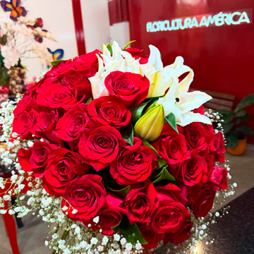Floricultura em Cuiabá e Várzea Grande