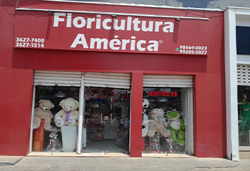 Floricultura America Landing