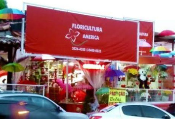 Floricultura America Landing