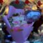 Buquê de Rosas Colombianas Rosa com Balão de Coração