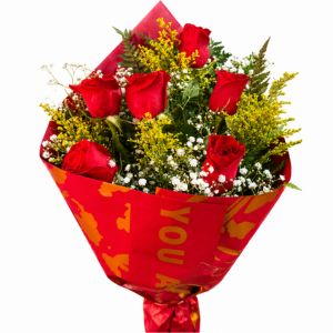 Categoria 1