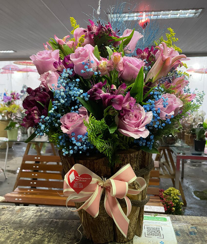 Floricultura America Landing