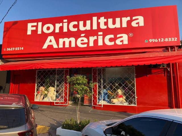 Floricultura America Landing