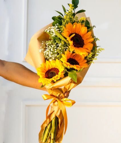 Floricultura America Landing