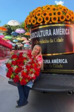 Mega Surpresa em Rosas Vermelhas com Entrega Performática na RAM - Imagem 2