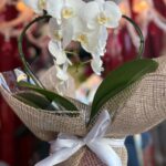 Orquídea Coração em Cuiabá com embalagem decorativa em juta