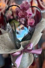 Orquídea Coração – Cores Variadas - Imagem 4