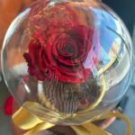 Rosa Encantada Vermelha na Cúpula de Vidro Esférica com Laço Dourado
