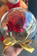 Rosa Encantada Vermelha na Cúpula de Vidro Esférica com Laço Dourado