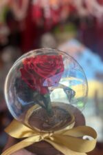 Rosa Encantada Vermelha na Cúpula de Vidro Esférica com Laço Dourado - Imagem 2