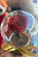 Rosa Encantada Vermelha na Cúpula de Vidro Esférica com Laço Dourado - Imagem 3