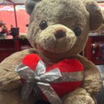 Urso de Pelúcia Apaixonado Romântico para Presente - Modelo 2