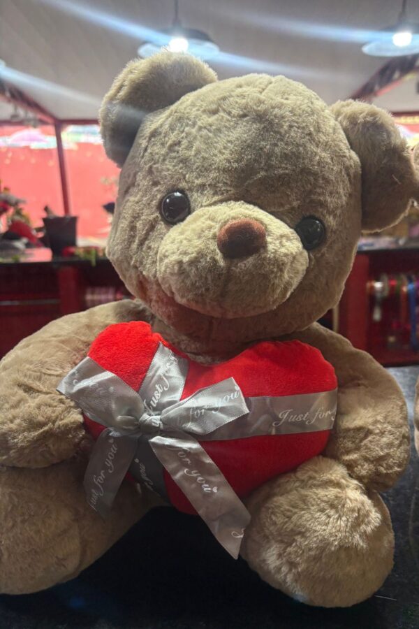 Urso de Pelúcia Apaixonado Romântico para Presente - Modelo 2